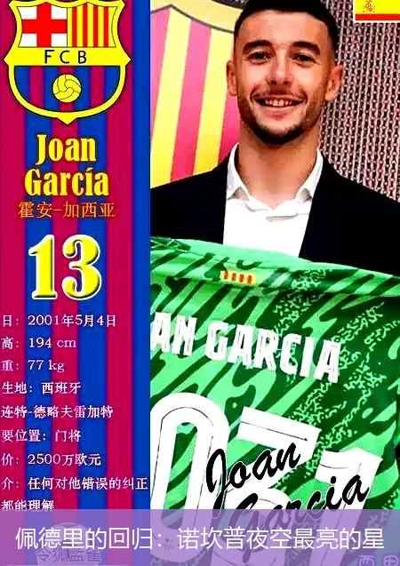 佩德里的回归：诺坎普夜空最亮的星