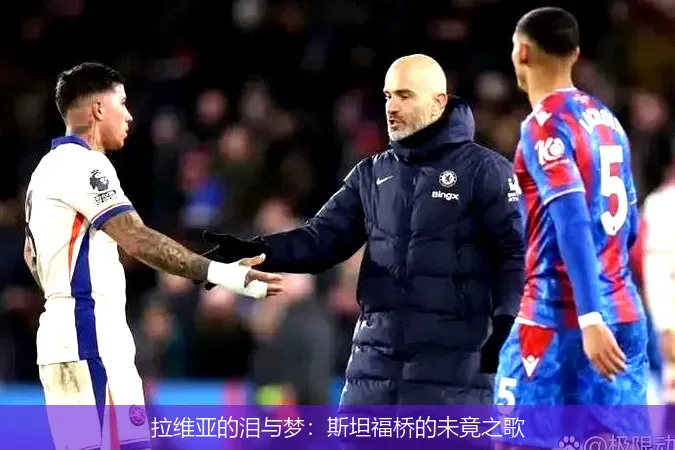 11月22日,拉维亚的泪与梦：斯坦福桥的未竟之歌